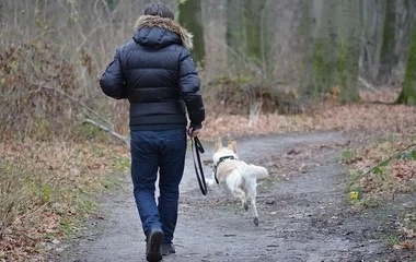 Jelentősen nőtt a kutyatartók száma a vírusidőszakban