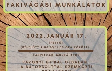 Fakivágási munkálatokat lesznek a Pazonyi úton  