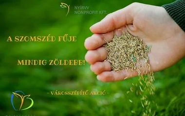 Idén is lesz füvesítési akció Nyíregyházán