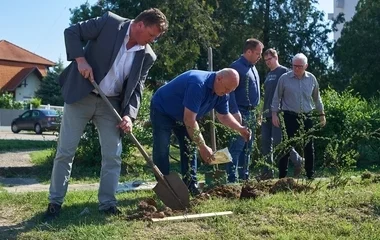 Nyíregyházán egyre több a zöldfelület