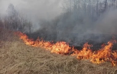 Újra megszaporodtak a szabadtéri tűzesetek.