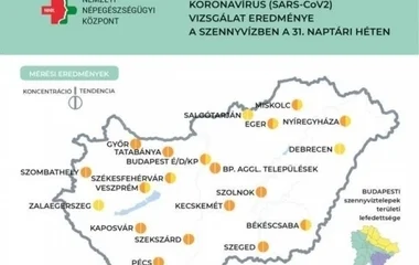 Továbbra is emelkedik a szennyvízben a koronavírus koncentrációja