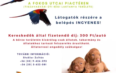 Kisállatbörze lesz a Fokos utcai Vásártéren