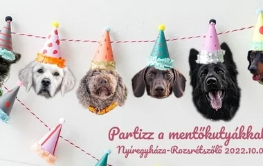 Mentőkutyákkal partizhatunk