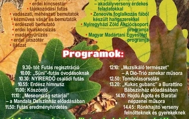 Az erdők hetére két programmal is készül a Nyírerdő Zrt.