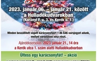 Karácsonyfagyűjtő akció lesz januárban