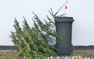 Hasznot is hajthat a szebb napokat látott karácsonyfa