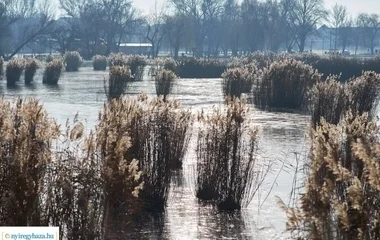 Folynak a városban a munkálatok