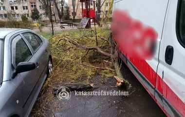 A viharos szél vármegyénkben is okozott károkat