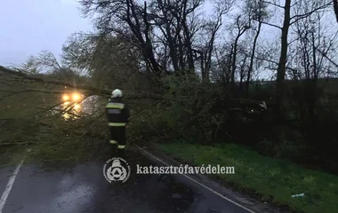 Kedden is voltak még műszaki mentések vármegyénkben 