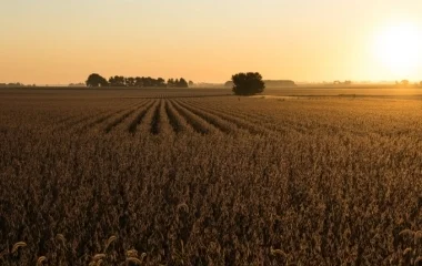 Megyei gazdálkodókat is kérdeznek, az Agrárium 2023 összeírás során