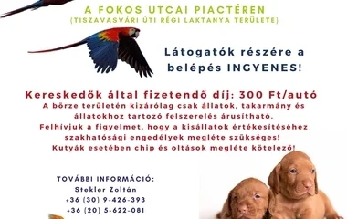 Az idei évben utolsó alkalommal, rendez Kisállat börzét a NYÍRVV