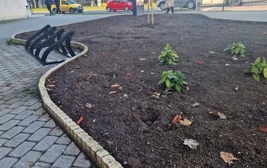 Elkészült a Zrínyi Ilona úti sávház zöldfelületének park rekonstrukciója.