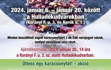 Nyíregyházán a karácsonyfáért ajándék jár!