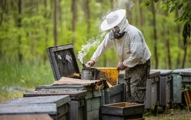A méhészek már igényelhetik az állami támogatást