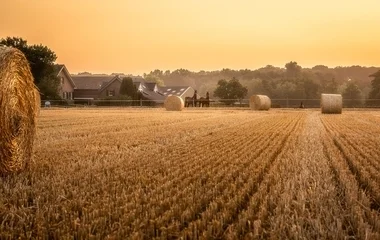 Országszerte elkezdődött az aratás