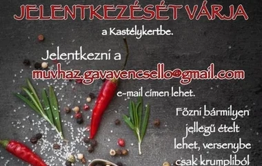 Még fogadják főzőcsapatok jelentkezését a IV. Tiszai Challenge és Krumpli fesztiválra