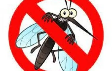 Ezen a héten légi szúnyoggyérítés is lesz Nyíregyházán
