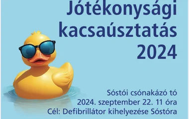 Gumikacsáktól lesz sárga a Sóstói tó!