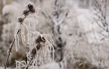 Nyírtasson mínusz 6,5 Celsius-fokot mértek