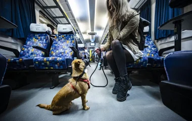 Mostantól minden InterCityn egyszerűbb kutyával utazni