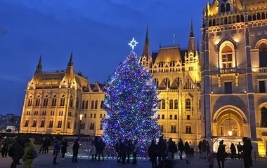 Borsodi fenyőfa lesz idén az ország karácsonyfája