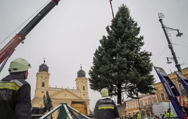 Felsőjózsáról érkezett Debrecen karácsonyfája