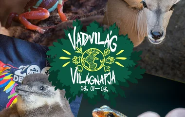 Vadvilág Világnapja a Zoo Debrecenben