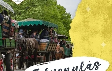 Jubileumi, ötvenedik Sárgulás a Debreceni Egyetemen!