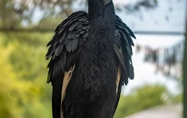 Újabb ritkasággal bővült a Zoo Debrecen állatállománya