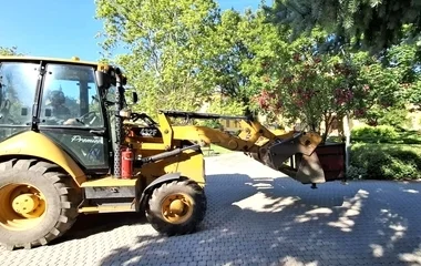Újra a belvárosban a leanderek és pálmák