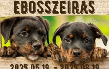 Már csak néhány nap és lejár a határidő