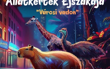 „Városi vadon” Debrecenben