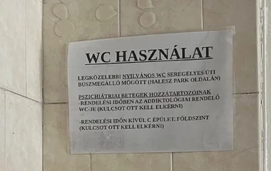 Nyílvános vécébe irányítják a székesfehérvári bőrgyógyászat betegeit