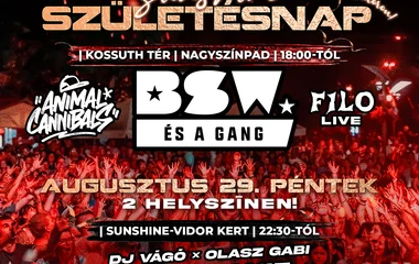 Sunshine Születésnap: ma egy különleges este lesz a VIDOR Fesztiválon