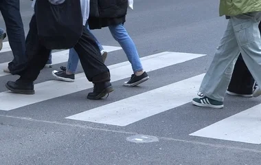 Már külföldön is találkozhatunk térségükből indult okos zebrákkal
