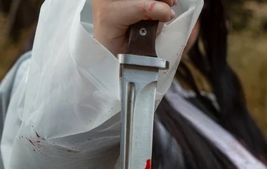 Szíven szúrta élettársát, hat évet kapott