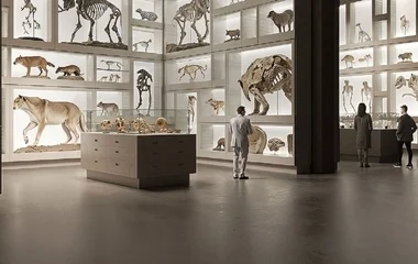 Több mint 100 év után, új otthont kap a Magyar Természettudományi Múzeum Debrecenben