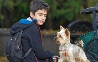 Újra indul a nagysikerű „Kutyázz, Nyíregyháza!” program