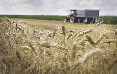 A magyar mezőgazdaság Európa egyik leggyorsabban fejlődő agráriuma