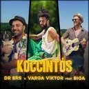 Koccintós - Dr BRS / Varga Viktor / Biga