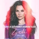 Csak a szívemet dobom eléd - Zséda